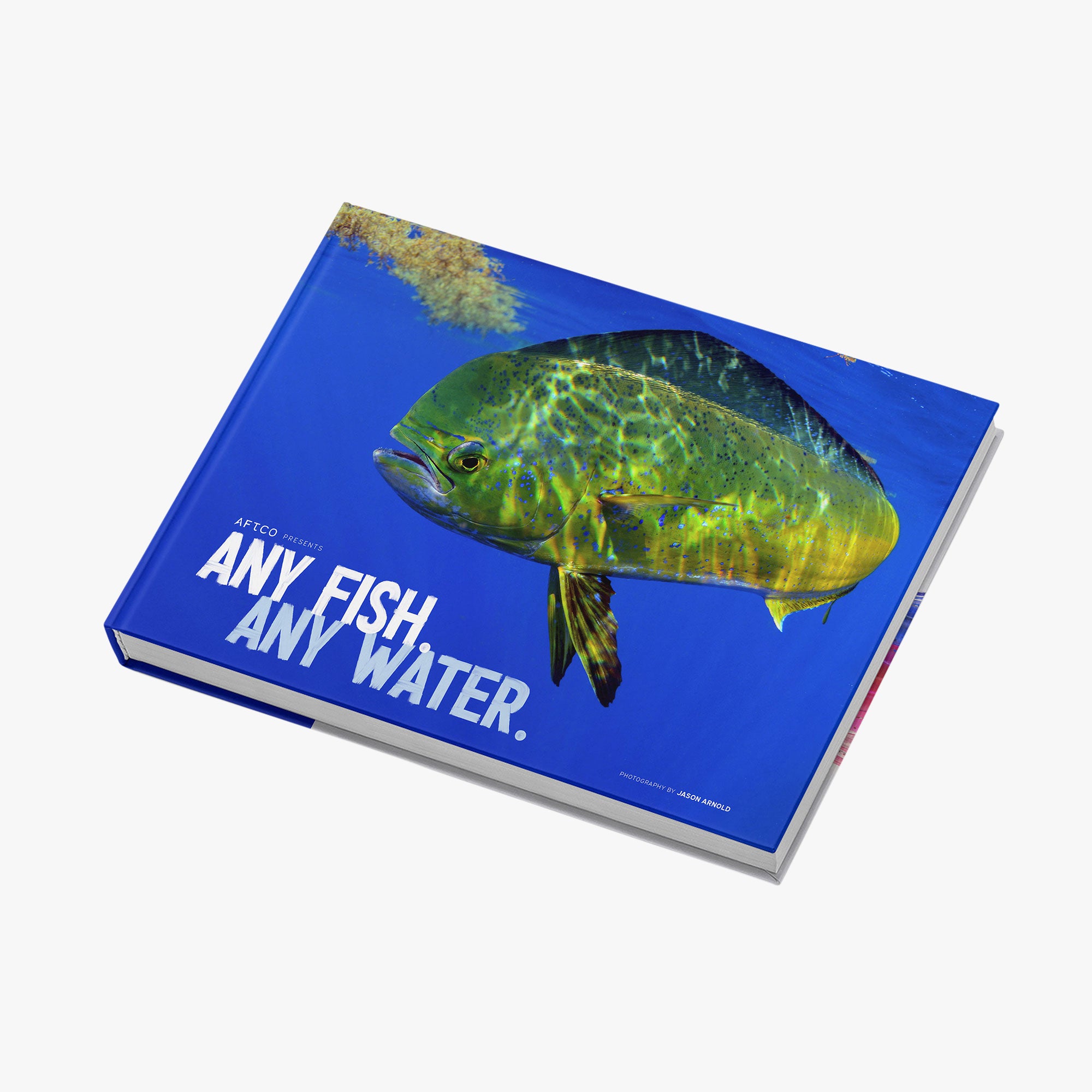 Any Fish. Any Water: Photography by Jason Arnold