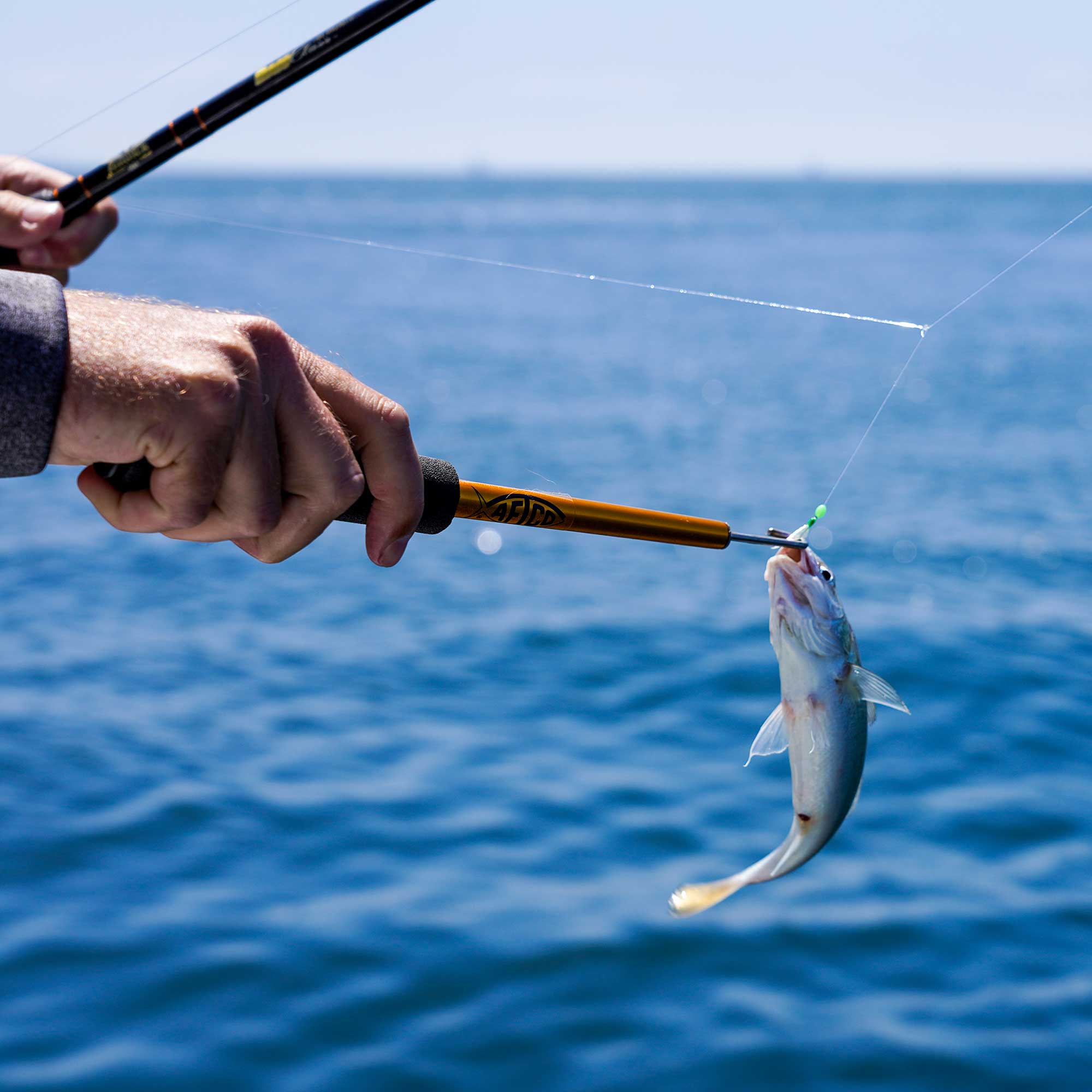 Bait Shaker - Image 5