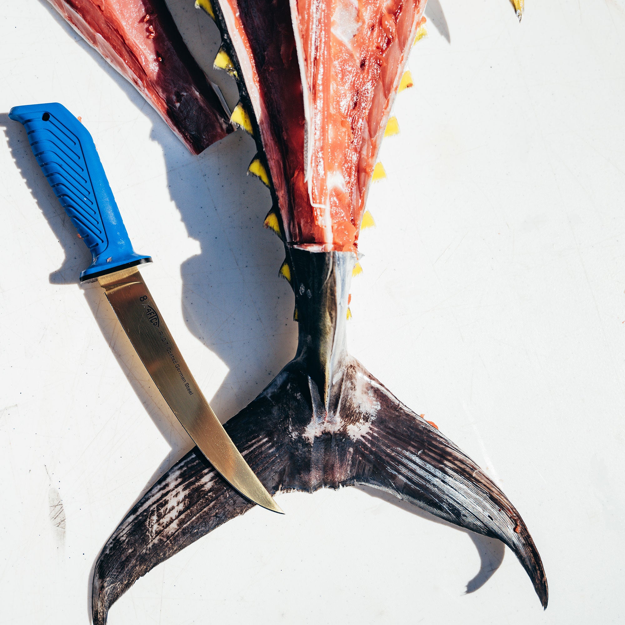 Fillet Knives - Image 14