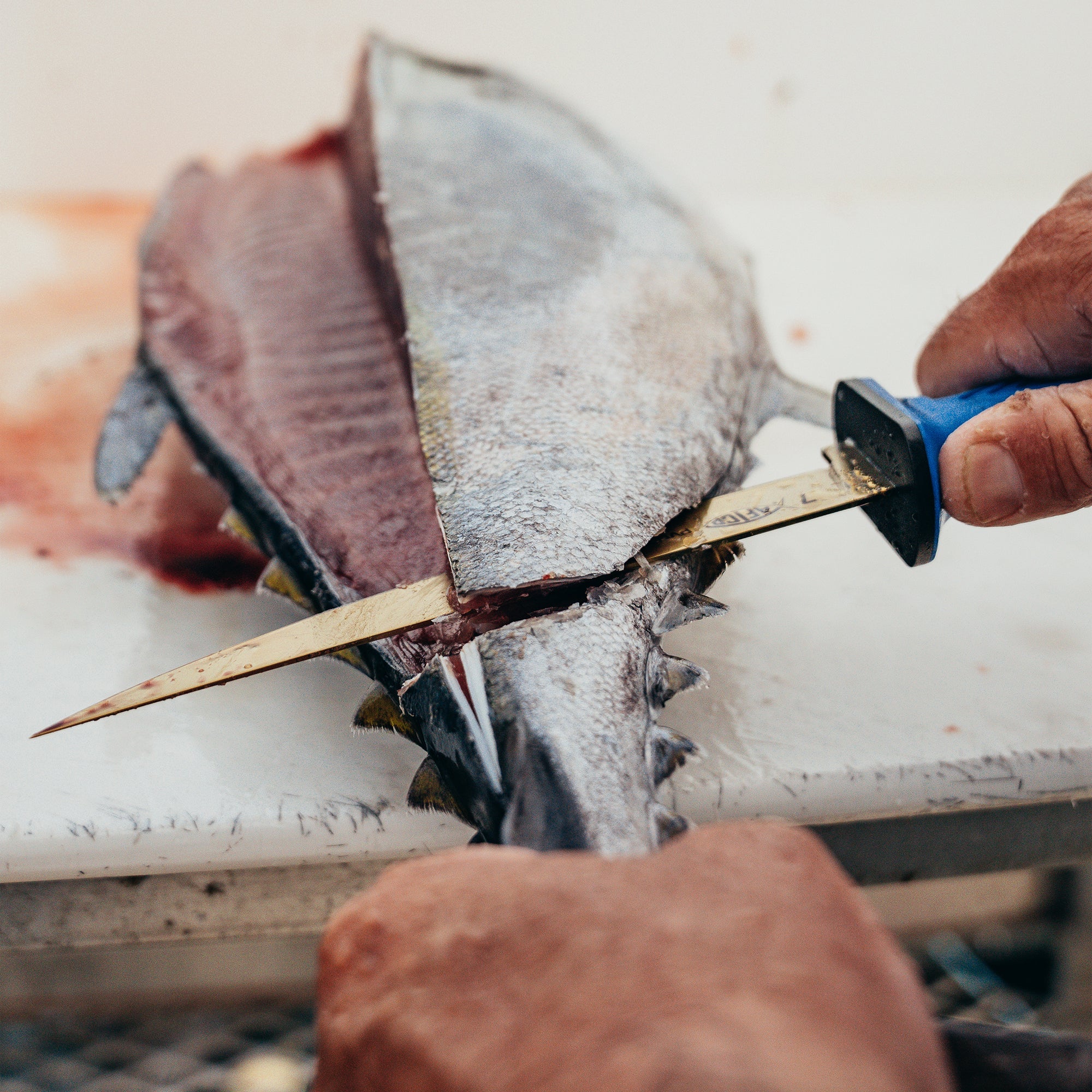 Fillet Knife - Image 5